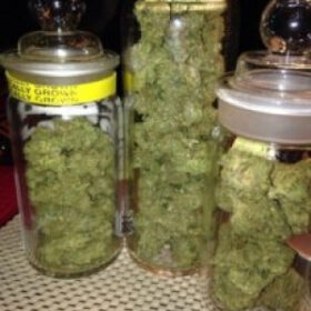 Cannabis & Haschisch