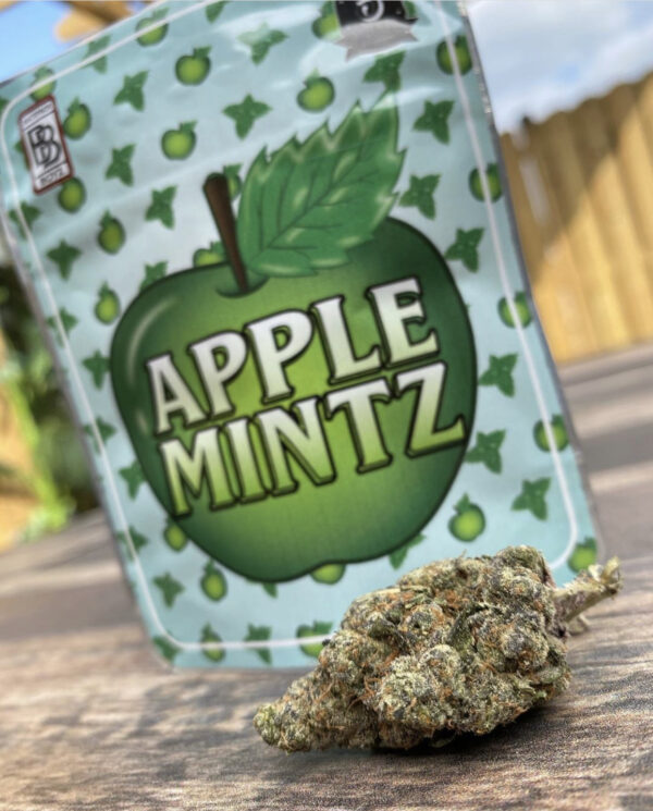 Buy Apple Mintz BackpackBoyz