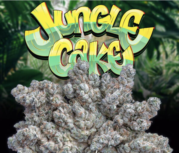 Buy Jungle Cake Jungle Boys