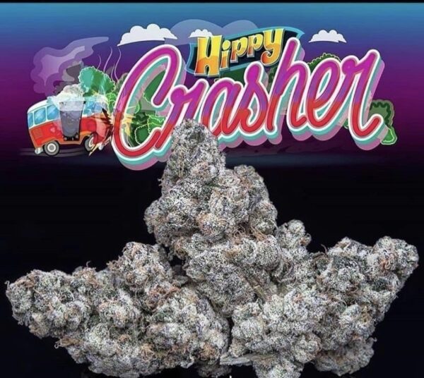 Buy Hippy Crasher Jungle Boys